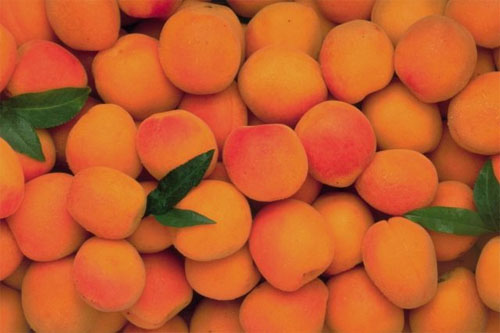 10 loại trái cây mùa hè bạn không thể bỏ qua