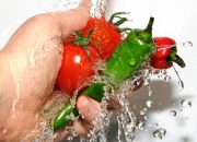 Giải pháp phòng chống ngộ độc thực phẩm mùa hè an toàn nhất
