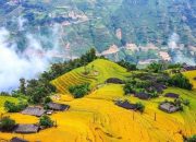 Đi Hà Giang mùa nào đẹp nhất trong năm?