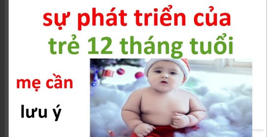 chăm soc trẻ sơ sinh 12 tháng tuổi như thế nào/ sự phát triển của trẻ 12 tháng tuổi như thế nào