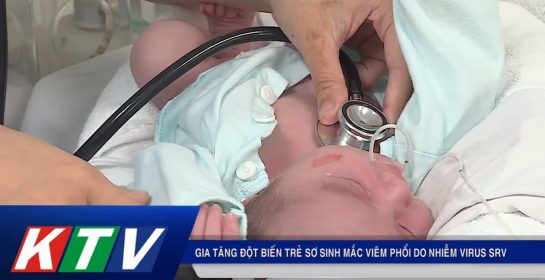 Gia tăng đột biến trẻ sơ sinh mắc viêm phổi do virus SRV | KTV