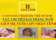Cẩm Nang Chăm Sóc Trẻ Sơ Sinh Cực Chi Tiết 0-12 Tháng Tuổi Giúp Mẹ Nuôi Con Nhàn Tênh