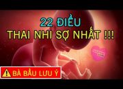 22 Điều Thai Nhi Sợ Nhất Bà Bầu Cần Biết Khi Chăm Sóc Thai Nhi [GiupMe.com]