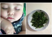 Bác sĩ cũng phải ‘bái phục’ rau ngót – thứ thuốc trị 5 bệnh trẻ nhỏ nhanh thần tốc