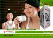 Bản Tin Sức Khỏe 365 Ngày – Số 354 : Viêm phế quản phổi