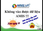 AMIS không vào dữ liệu? Xử lý và kiểm tra phiên bản cập nhật trên AMIS.VN
