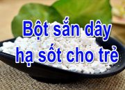 Bột sắn dây hạ sốt cho trẻ – PGS. TS Hồ Bá Do tư vấn