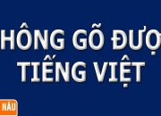 Không gõ được tiếng Việt trên một số phần mềm