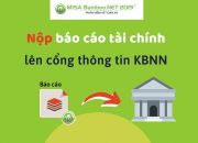 MISA Bamboo NET 2019 – Nộp báo cáo tài chính lên KBNN qua hệ thống TKT – Phần 2