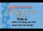 Quyết toán Mimosa P6 – Kiểm tra Bảng cân đối phát sinh tài khoản trên Mimosa