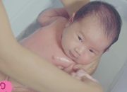 Cách tắm bé sơ sinh tại nhà| Chăm sóc bé Care With Love| TRAN THAO VI OFFICIAL