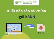 MISA Bamboo NET 2019 – Xuất báo cáo tài chính nộp KBNN qua hệ thống TKT – Phần 1