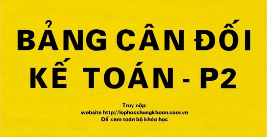Hướng dẫn đọc Bảng cân đối Kế toán | Phần 2| Phân tích báo cáo tài chính