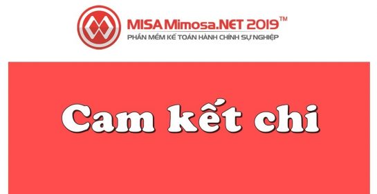 Cam kết chi trên MISA Mimosa.NET 2019 | Học MISA Online