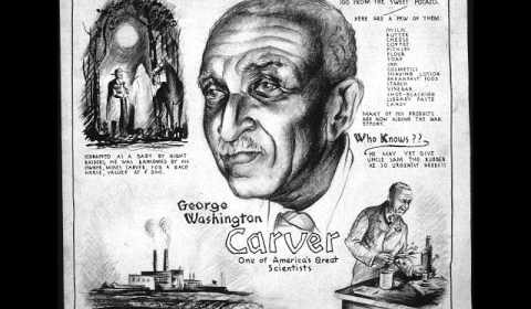 Words at War: White Brigade / George Washington Carver / The New Sun