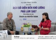 Trẻ bị sốt phát ban và trẻ bị sởi có phải do cùng một nguyên nhân gây ra không?