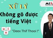 Không gõ được tiếng Việt trên MISA – xử lý dễ ờm | Học MISA ONline