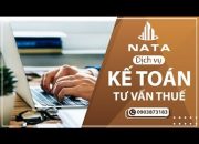 Hướng dẫn cách tra soát thuế khi ghi sai thông tin nộp thuế | CTY NATA