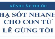 Hạ sốt nhanh cho bé  bằngLê Gừng Tỏi😚