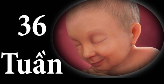 THAI NHI 36 TUẦN TUỔI  Phát Triển như Thế Nào | Sức khỏe Mẹ & Bé