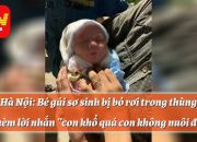 Hà Nội: Bé gái sơ sinh bị bỏ rơi trong thùng rác kèm lời nhắn 'con khổ quá con không nuôi được'