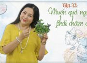 Tập 32: Muốn quả ngọt, phải chăm cây! – Góc nhìn cuộc sống qua Nhân số học (Thần số học) – QHLD #145