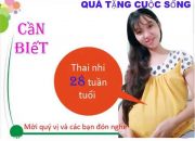 Thai nhi 28 tuần , Mẹ và Bé phát triển như thế nào ? Sức khỏe sinh sản