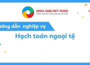 Hạch toán ngoại tệ | MISA SME.NET 2020