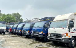 Top 7 đơn vị thuê xe tải Đà Nẵng – Dịch vụ uy tín, giá tốt năm 2024